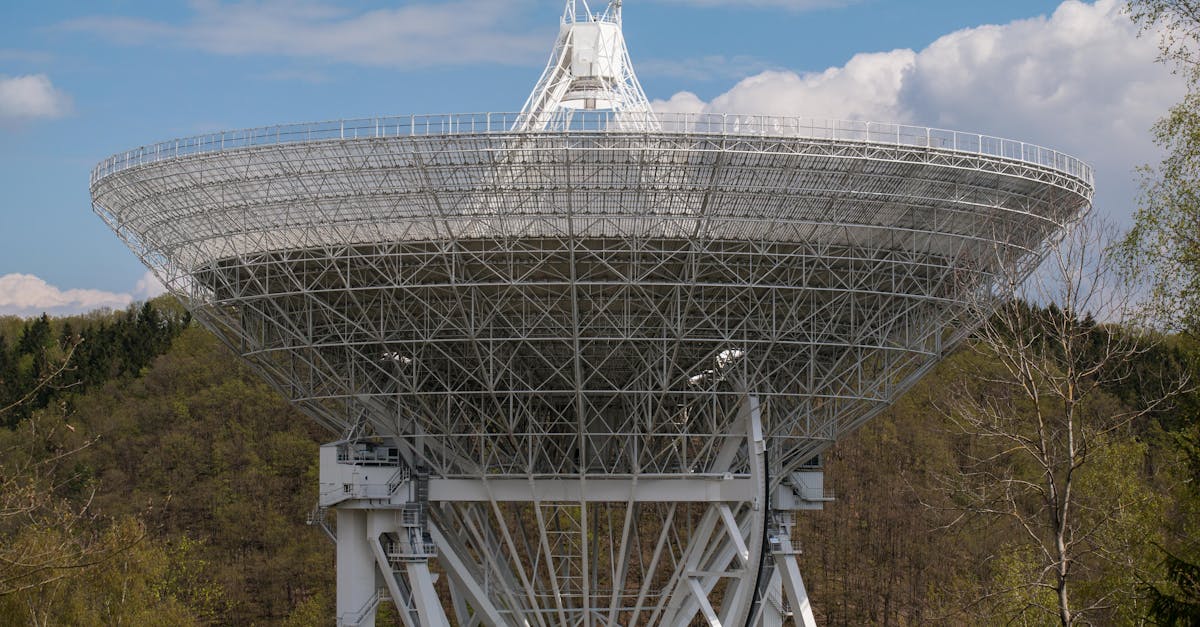 技术支持辅助是否属于欺诈行为