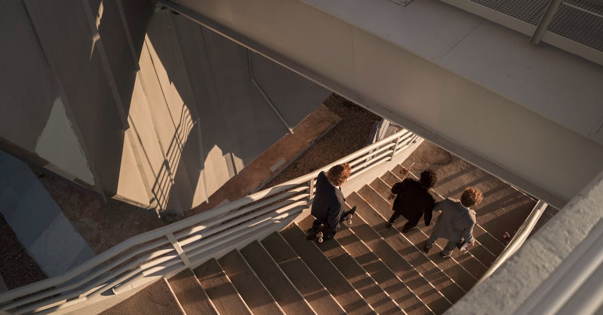 日免七星黑标（软）：高端手办购买平台