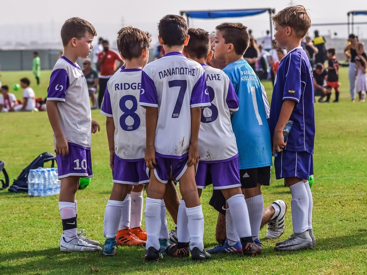 物联卡买卖：中欧基金-app详情下载教程-_