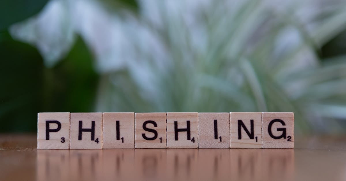 成为虚拟的烟草爱好者：网络时代下的烟草文化新体验