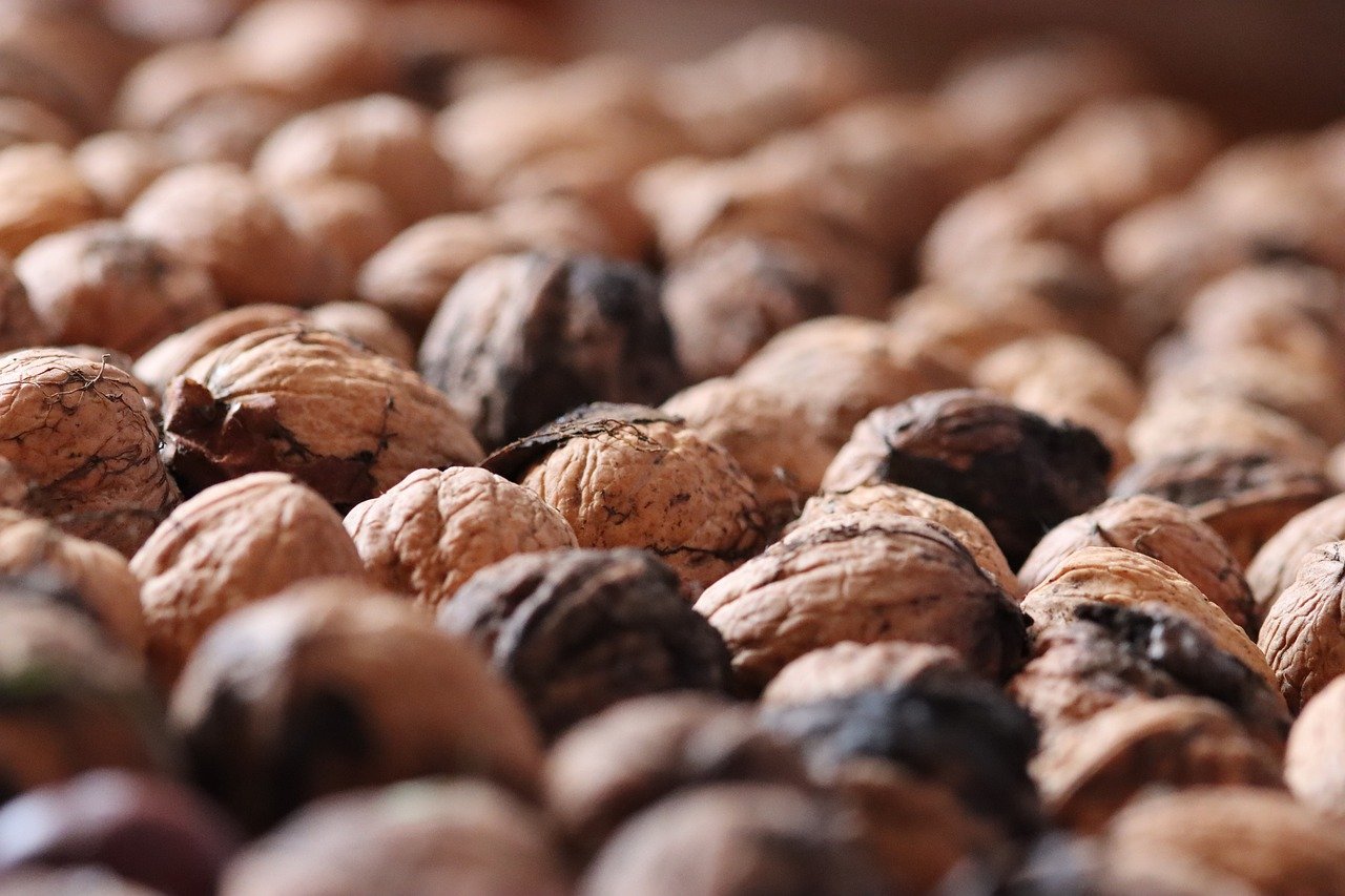 摩臣5娱乐，注册|cnn app官方详情下载教程