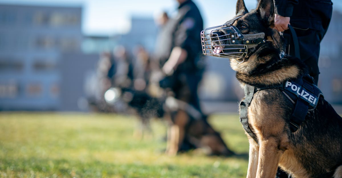 解读DDOS怎么实现攻击- 龙湾区财务代理记账注册