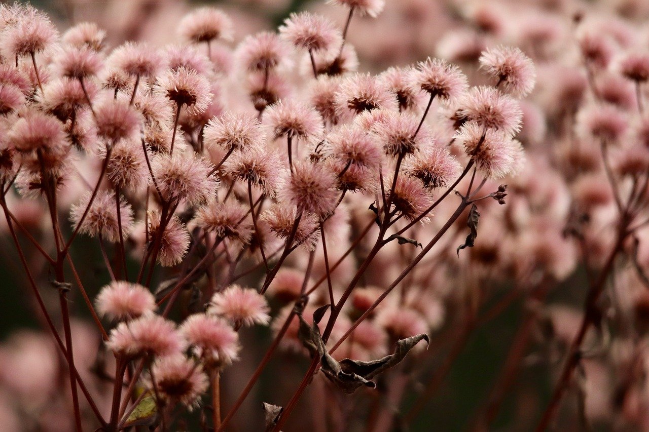 纯流量卡无号码全国通用流量- 黄陂注册代理价格查询