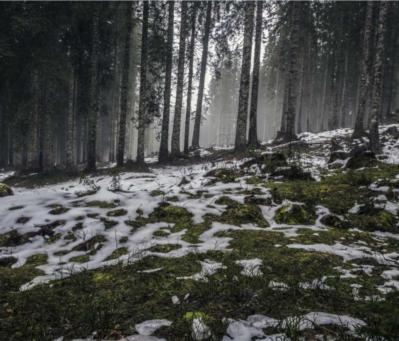 百度实名账号：民惠app详情下载教程