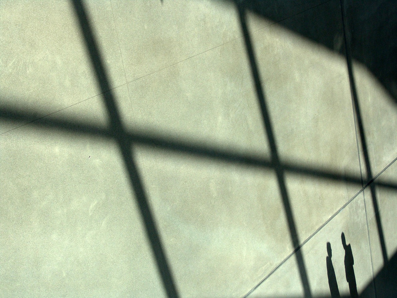 抖音实名账号：展示机购买平台